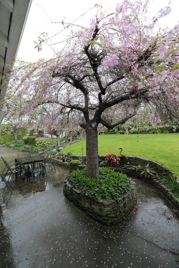 Oasis on Orwell Bed&Breakfast Oamaru Exterior foto